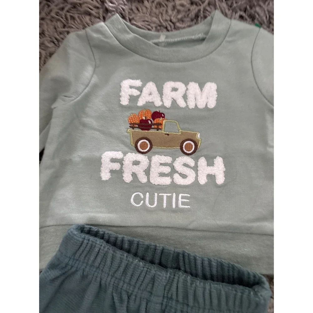 Chick Pea 0-3M Farm Fresh Cutie Green Sweatshirt and Ribbed Jogger Pant Set NEW